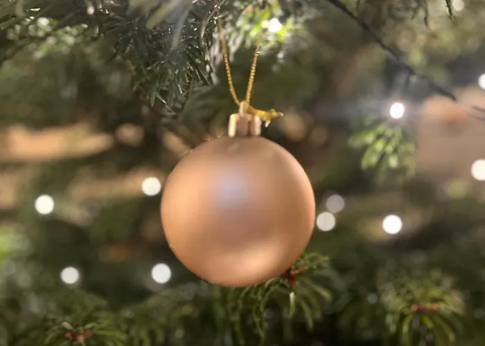 The Angel Hotel Topcliffe